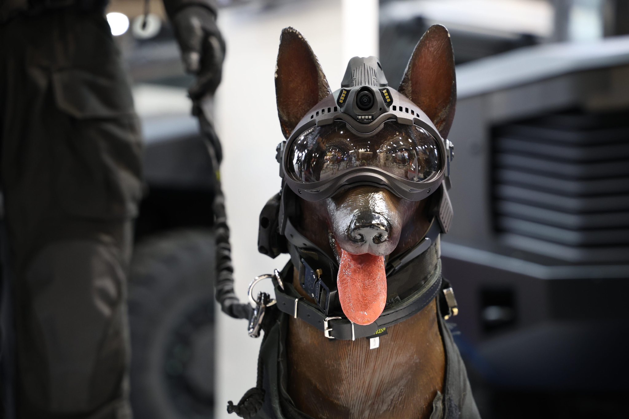 K9 - Police Nationale